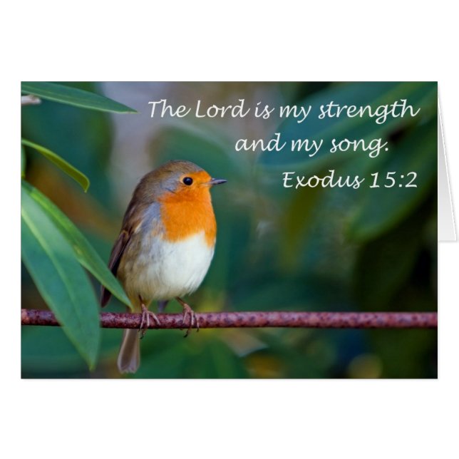 Carte Robin Song (Devant horizontal)