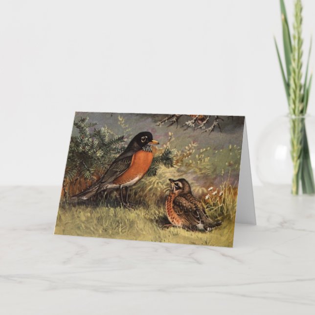 Carte Robins de Brooks (Devant)