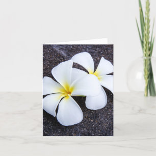 Carte Roche florale de lave de Plumeria de Frangipani