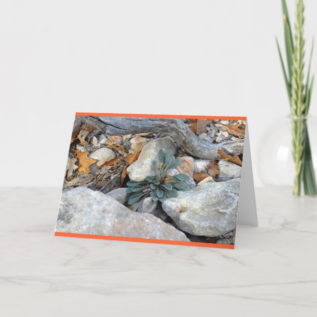 Carte "Rock Art #5" (Devant)