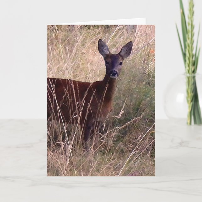 Carte Roe cerf art graphique (Devant)