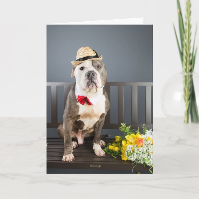 Carte Romance card (Devant)