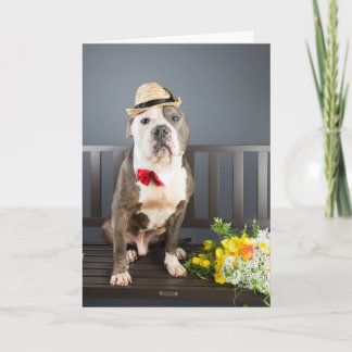 Carte Romance card