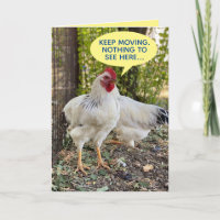Rooster Directing Traffic 4 Over The Hill Chicken