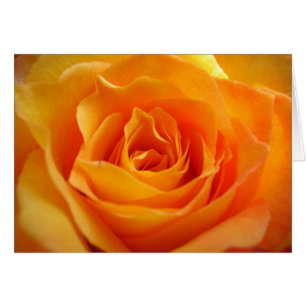 Carte rose