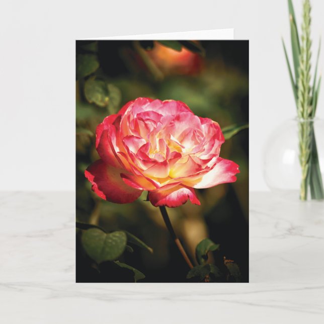 Carte Rose amical (Devant)