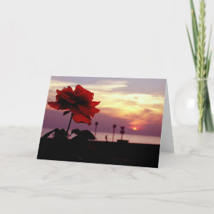 Carte Rose and Sunset