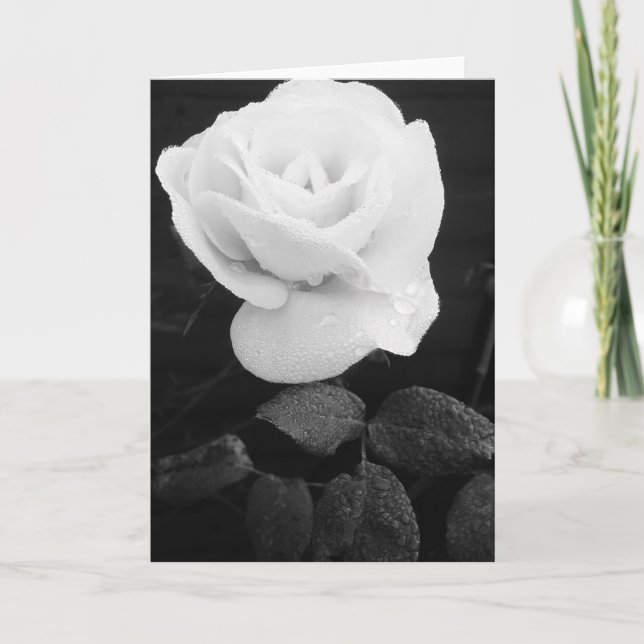 Carte Rose blanche (Devant)