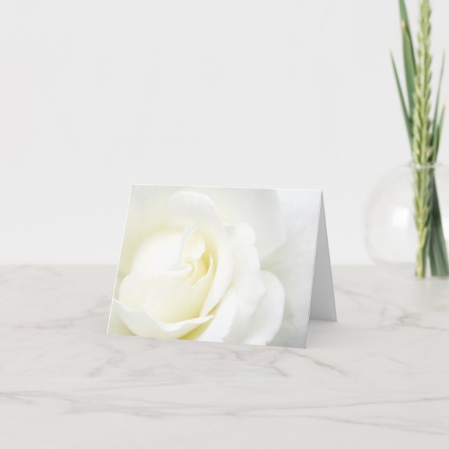 Carte Rose blanche pour toutes les occasions (Devant)