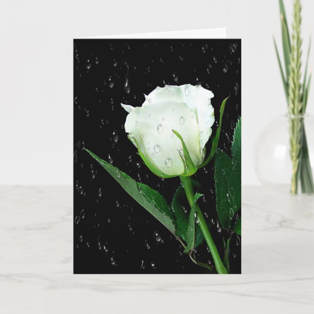 Carte Rose blanche sur noir avec gouttes de pluie (Devant)