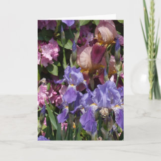 Carte Rose bleu pourpre de jardin d'iris