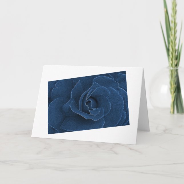 Carte Rose bleu velours (Devant)