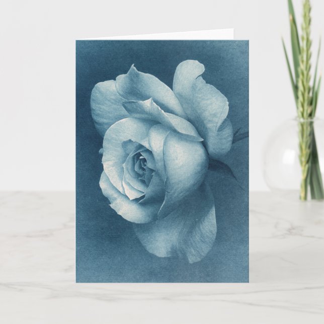 Carte Rose Cyanotype (Devant)