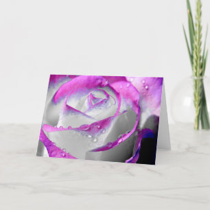 Carte Rose de beauté rose