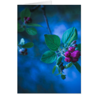 Carte rose de fleurs