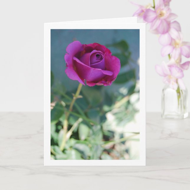 Carte Rose de jardin florale violette (Orchidée)