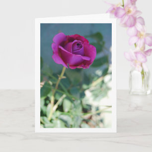 Carte Rose de jardin florale violette