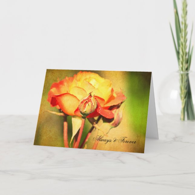 Carte Rose de plage (Devant)