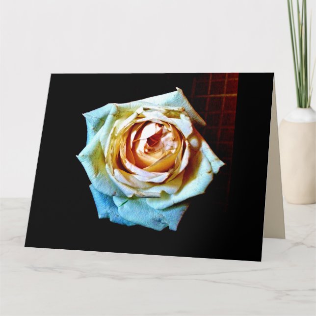Carte Rose de plage (Devant)