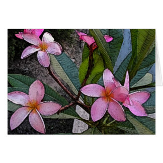 Carte rose de Plumeria