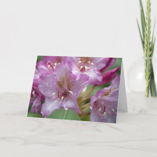 Carte rose de Rhody