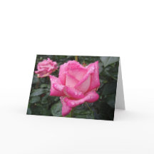 Rose de rose de 2-Ton
