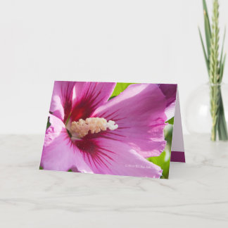 Carte Rose de Sharron