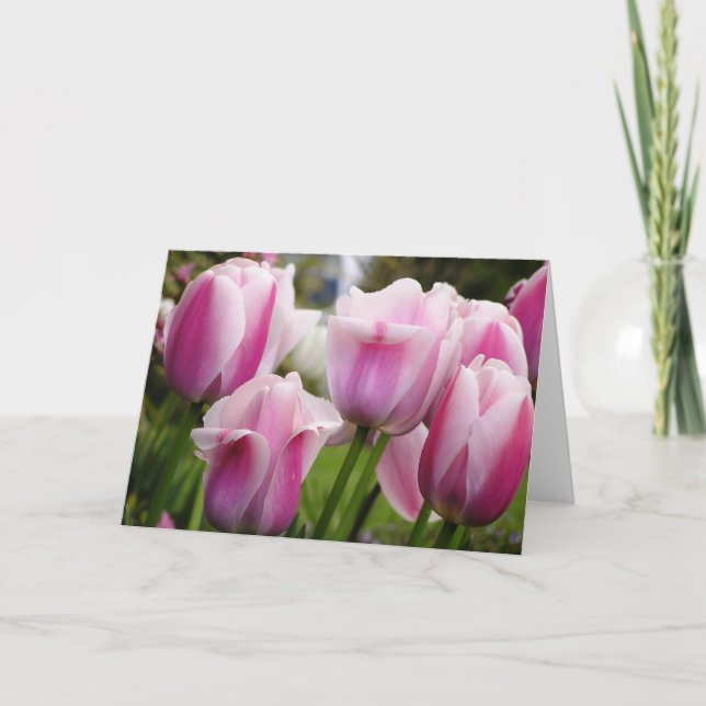 Carte rose de tulipes (Devant)