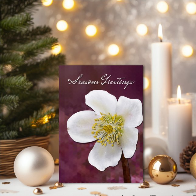 Carte Rose d'hiver High-Poly sophistiquée Art saisons (High-Poly Winter Rose Art Card - Elegant Burgundy Christmas Greeting.)