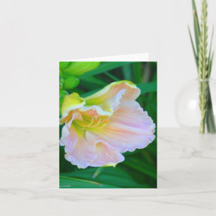 CARTE "ROSE DOUCE ET JAUNE JOURNÉE LILY/RESSEMBLE À LA M