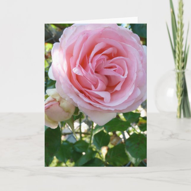 Carte Rose en Pink Grey Card (Devant)