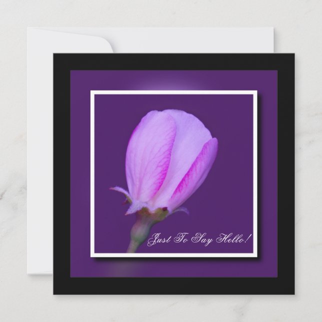 Carte Rose et violet printemps fleurie Bonjour (Devant)