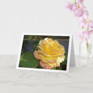Carte Rose floral rose et jaune