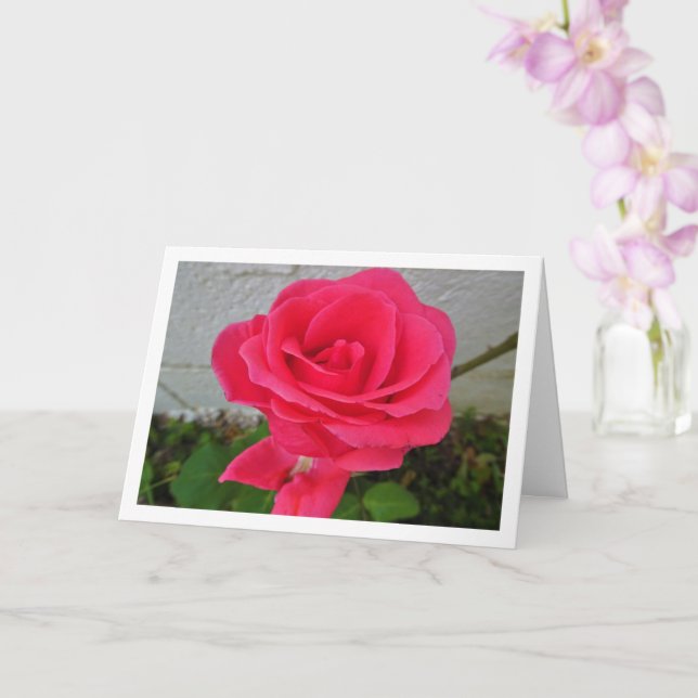 Carte Rose Florale Rose (Orchidée)