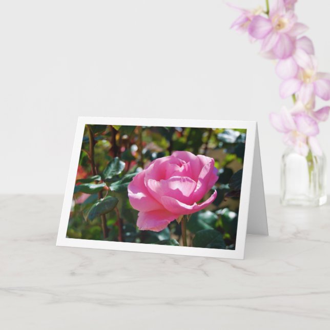 Carte Rose florale rose du jardin (Orchidée)