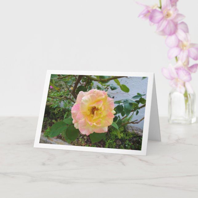 Carte Rose florale rose et jaune (Orchidée)