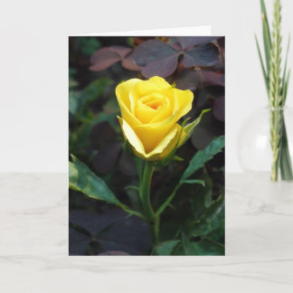Carte Rose jaune