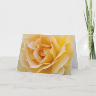 Carte Rose jaune