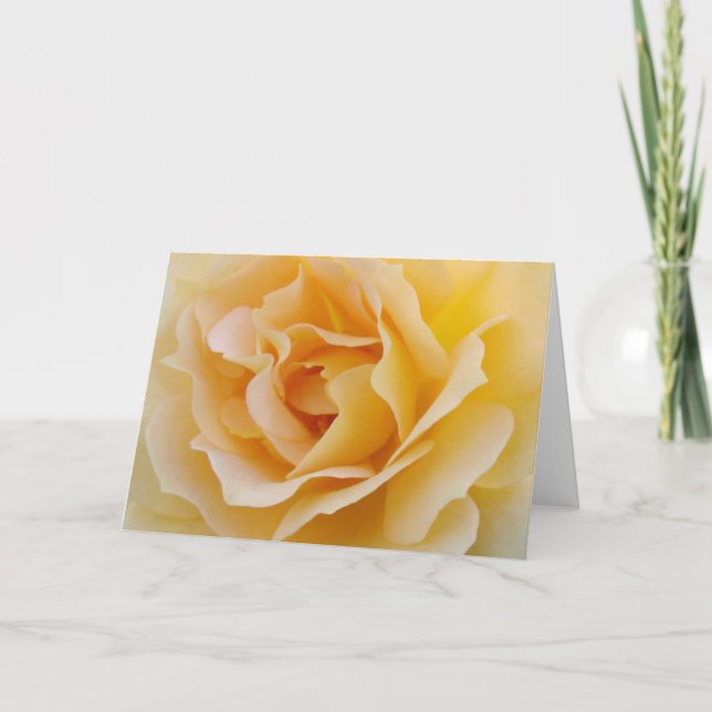 Carte Rose jaune (Devant)