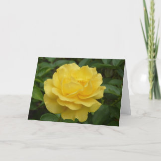 Carte Rose jaune