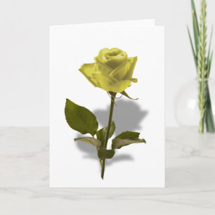Carte Rose jaune de l'amitié
