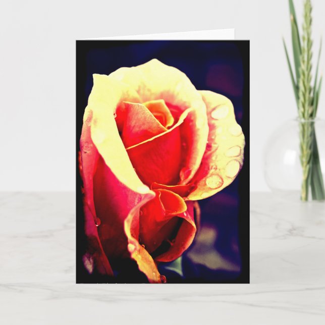 Carte Rose Lomo (Devant)