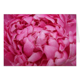 Carte rose lumineuse de pivoine