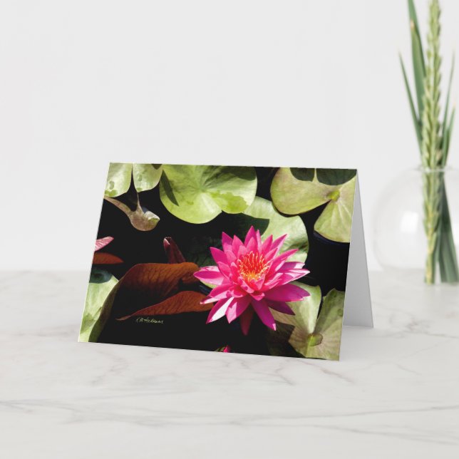 CARTE ROSE NÉNUPHAR I (Devant)