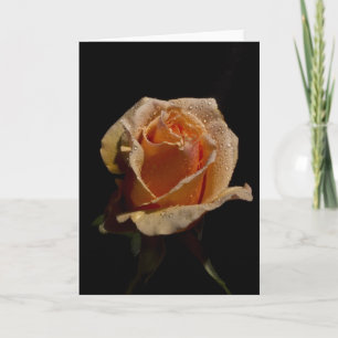 Carte Rose orange 1