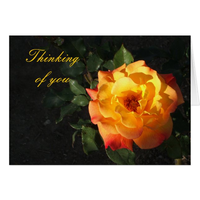 Carte rose orange de Cali (Devant horizontal)