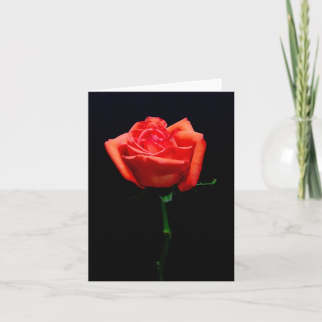 Carte Rose Orange Douce (Devant)