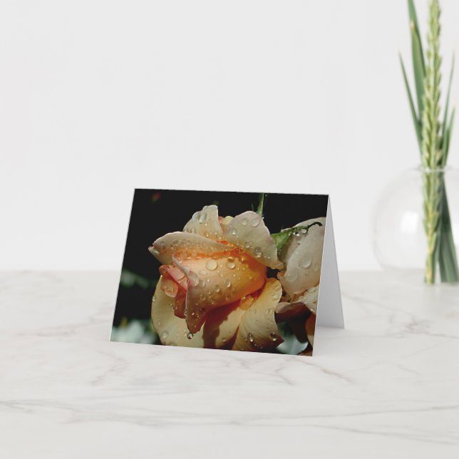Carte Rose orange humide (Devant)
