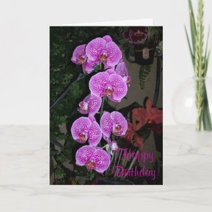 Carte rose orchid birthday