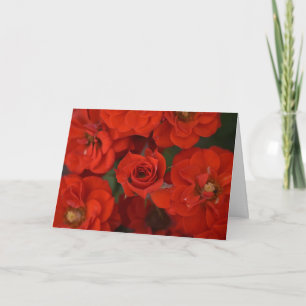 Carte Rose Renaissance 2